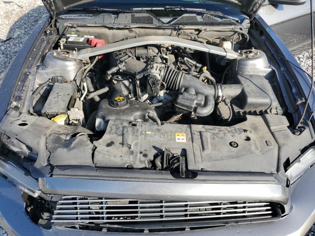 2013 Ford Mustang VIN: 1ZVBP8EM5D5261726 Lot: 84231275