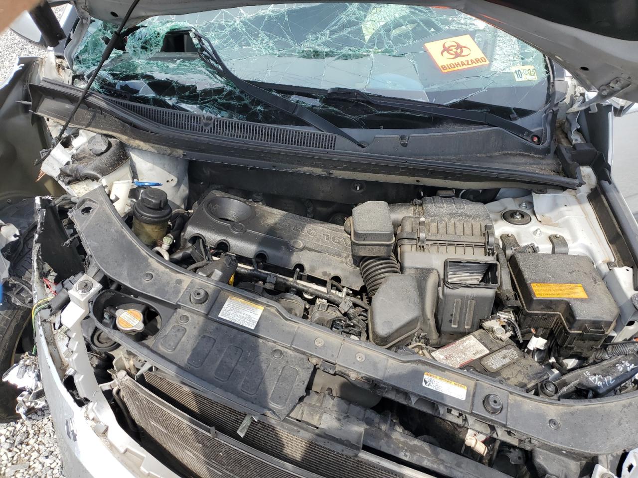 2011 Kia Sorento Base VIN: 5XYKT3A16BG105566 Lot: 81494995