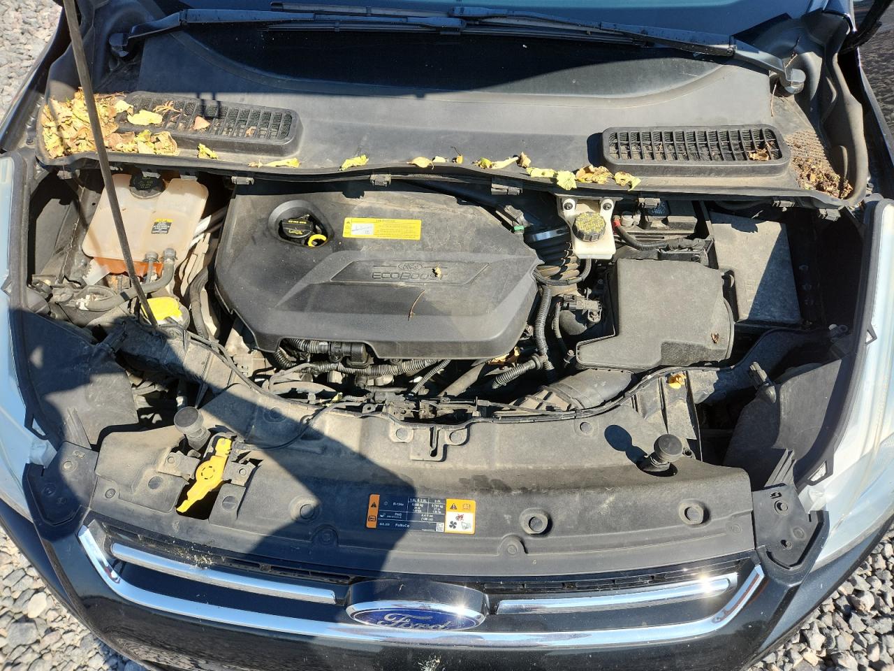 2013 Ford Escape Sel VIN: 1FMCU0HX7DUC10284 Lot: 80825385