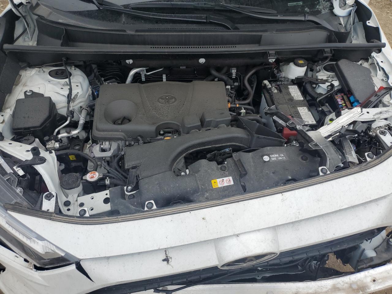 2024 Toyota Rav4 Xle VIN: 2T3P1RFV6RC470238 Lot: 71028855