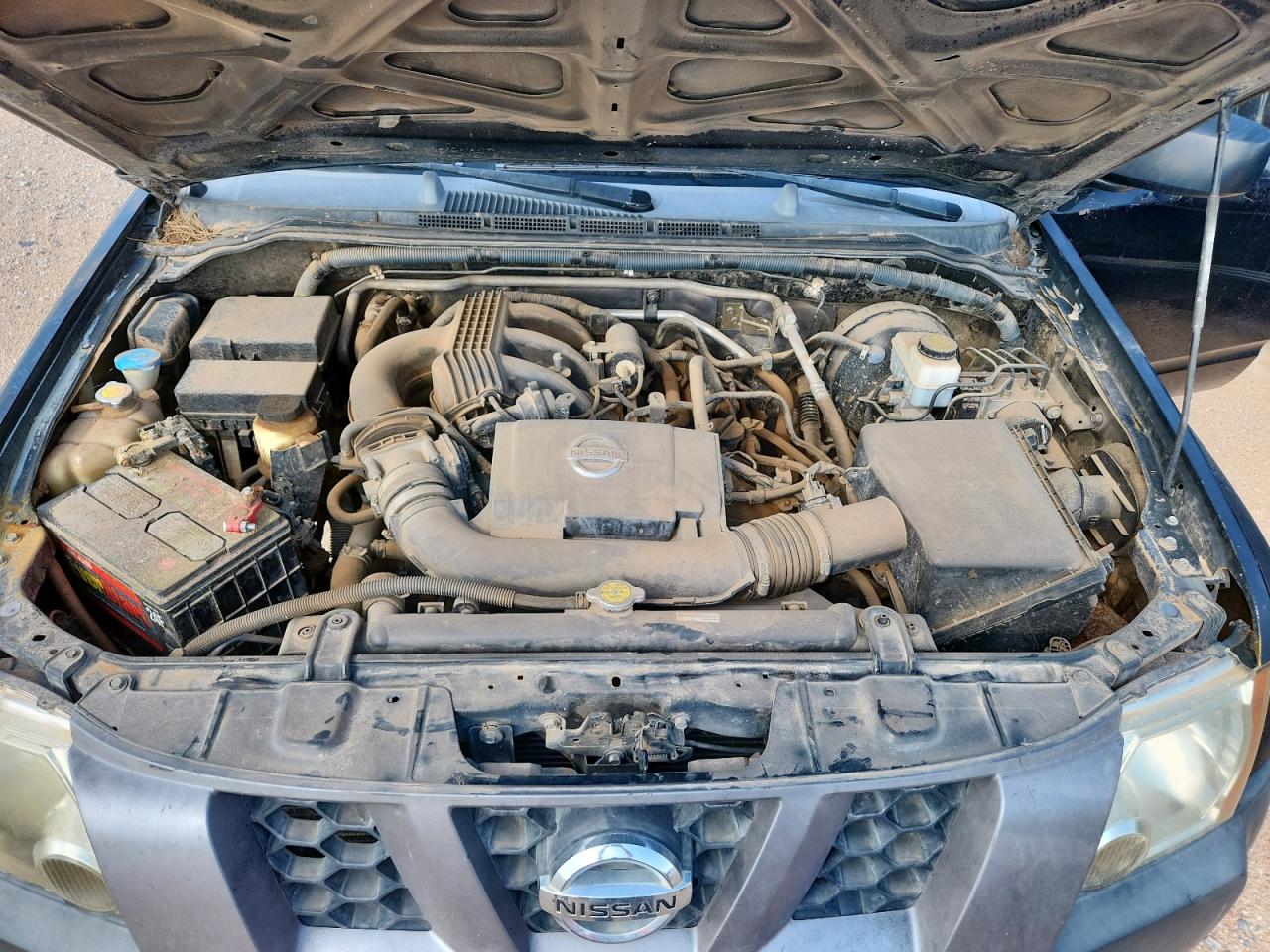 2007 Nissan Xterra Off Road VIN: 5N1AN08U07C540188 Lot: 71042845