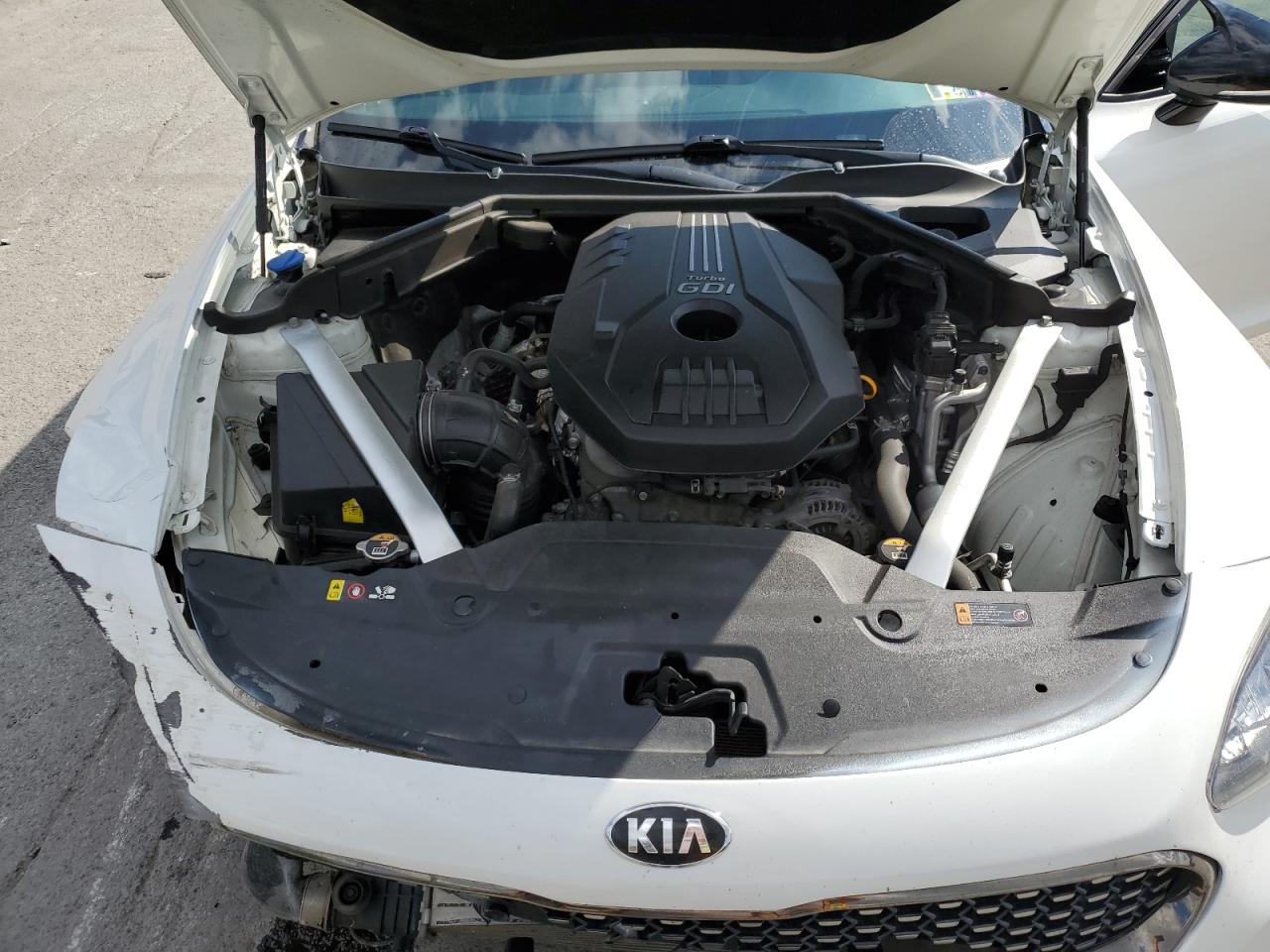 2020 Kia Stinger VIN: KNAE15LA1L6074272 Lot: 81166075