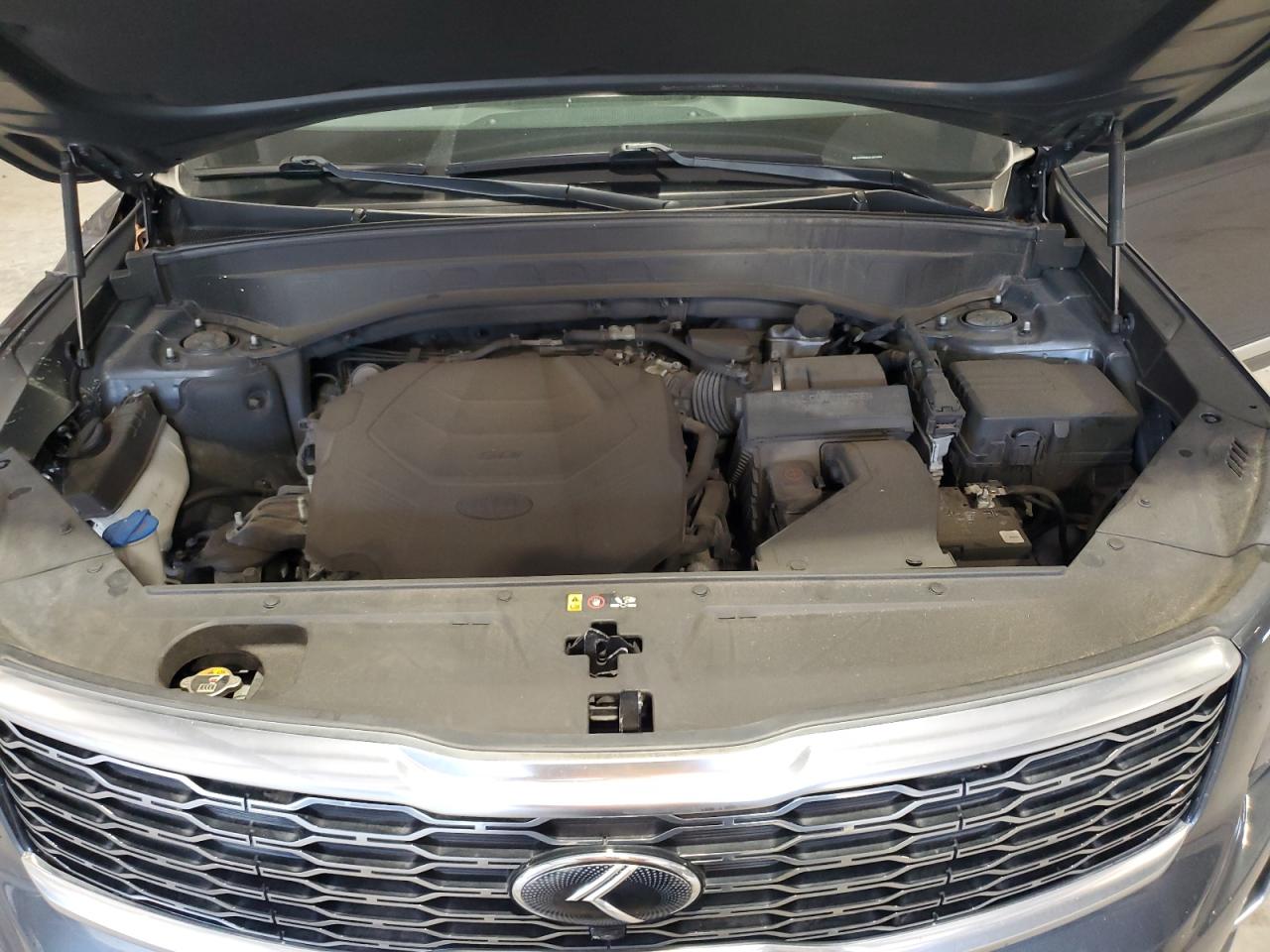 2020 Kia Telluride Sx VIN: 5XYP5DHC3LG023499 Lot: 80017485