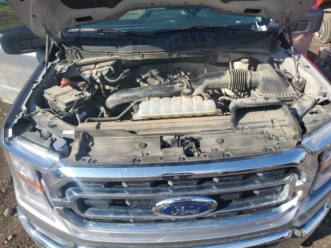 2023 Ford F150 Super Cab VIN: 1FTFX1E88PKE42162 Lot: 71885485