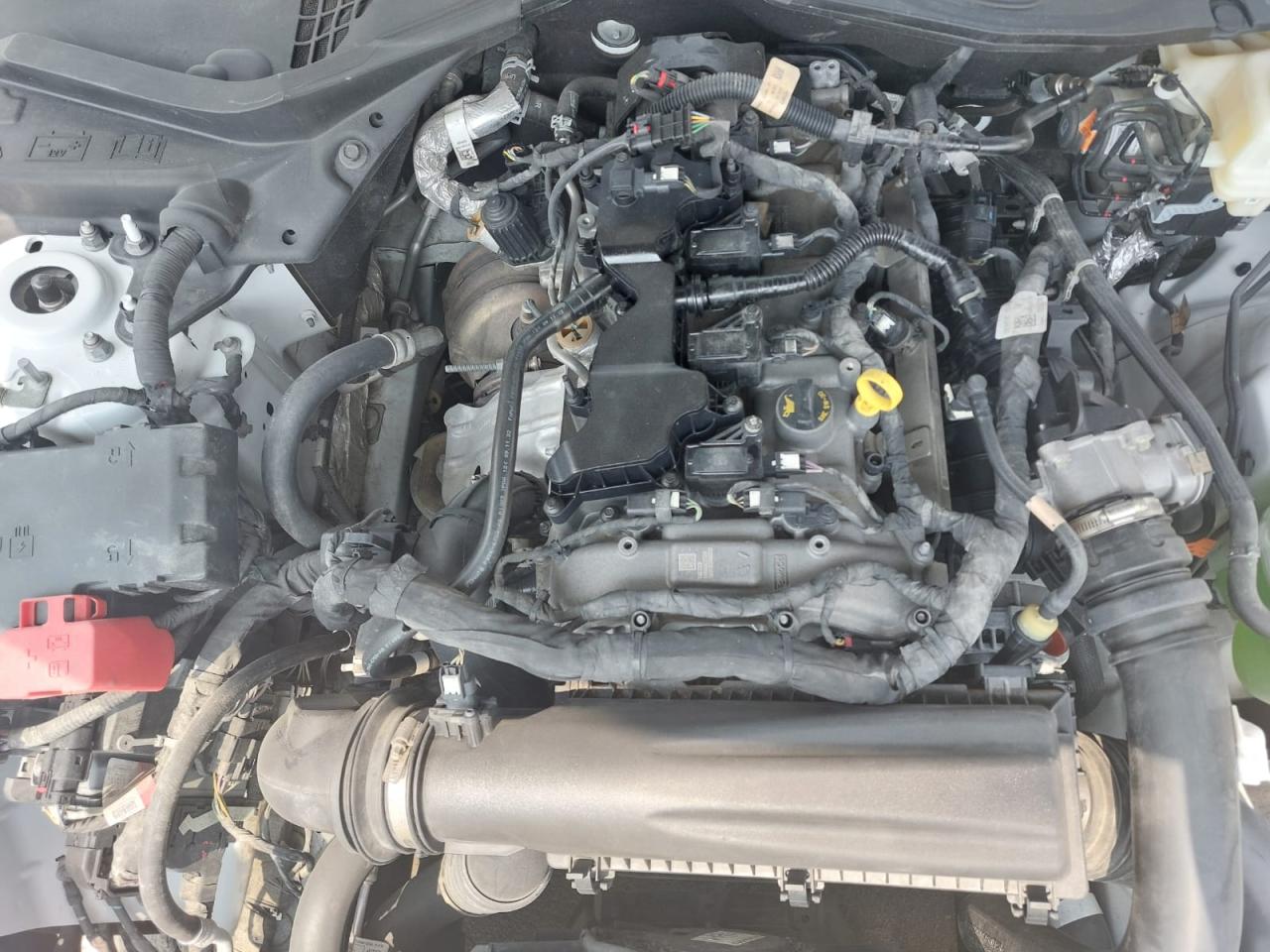 1FA6P8TH0R5106914 - 2024 Ford MUSTANG - #84179085