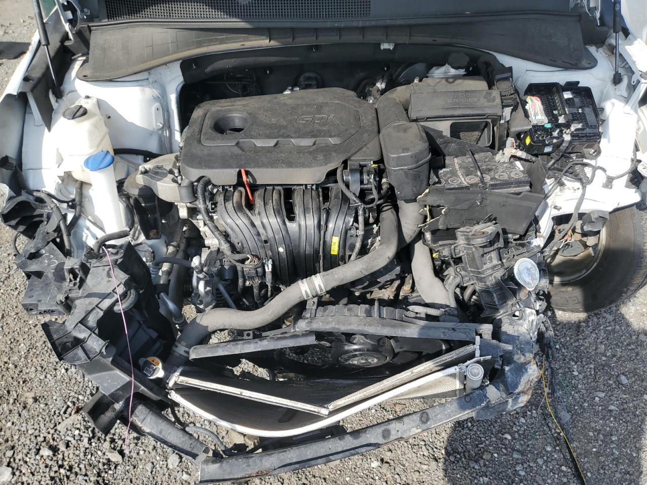 2020 Kia Sorento L VIN: 5XYPGDA36LG678695 Lot: 80284015