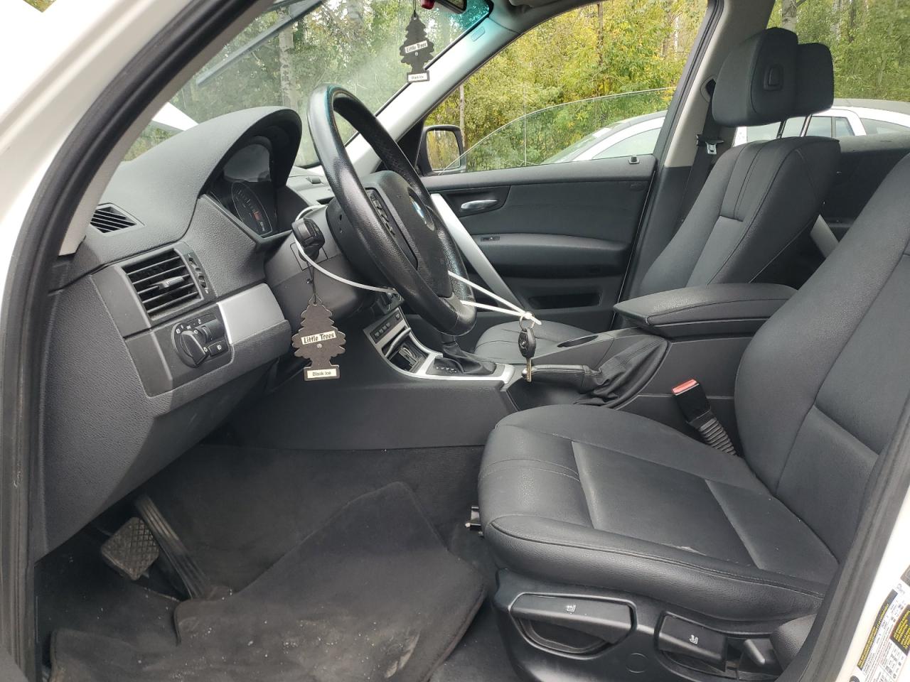 2010 BMW X3 xDrive28I VIN: WBXPC7C44AWE53443 Lot: 81497005