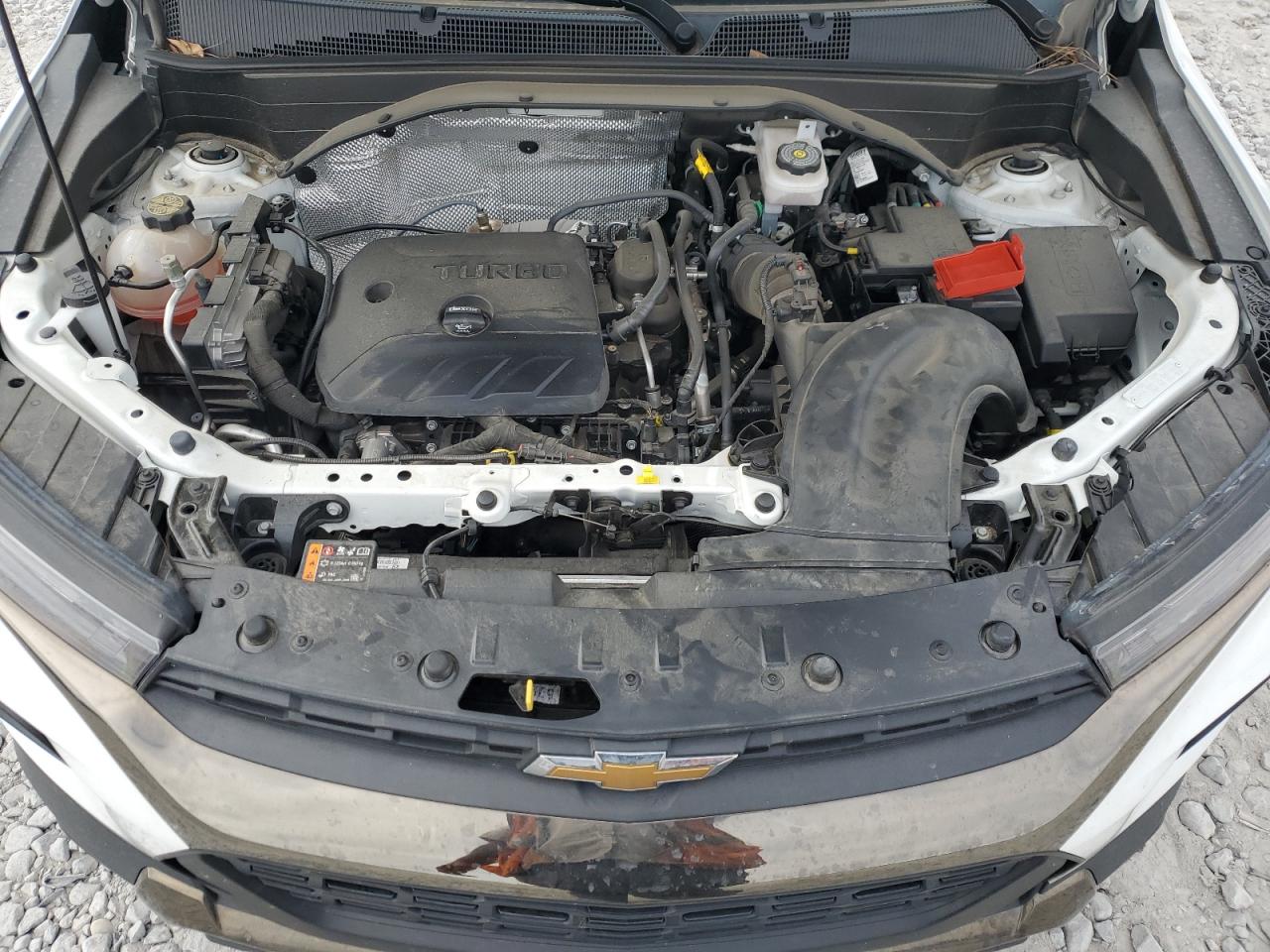 2023 Chevrolet Trailblazer Activ VIN: KL79MSSL7PB218513 Lot: 81905895