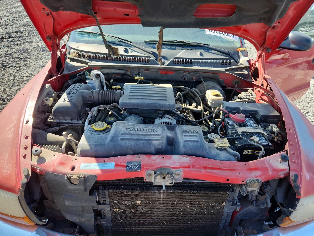 2001 Dodge Dakota VIN: 1B7GL22N31S217204 Lot: 80820625