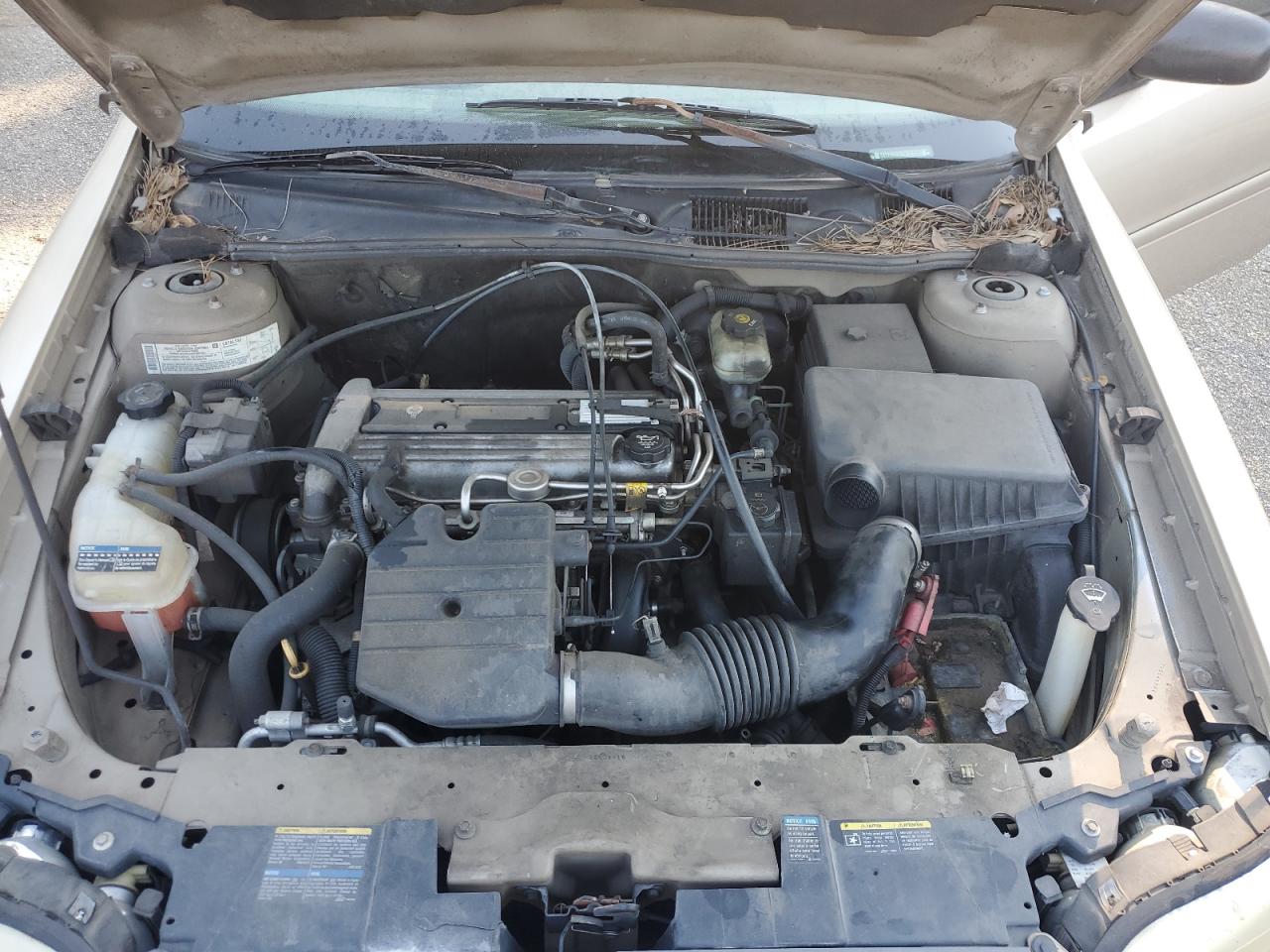 2005 Chevrolet Classic VIN: 1G1ND52F55M194218 Lot: 80612635