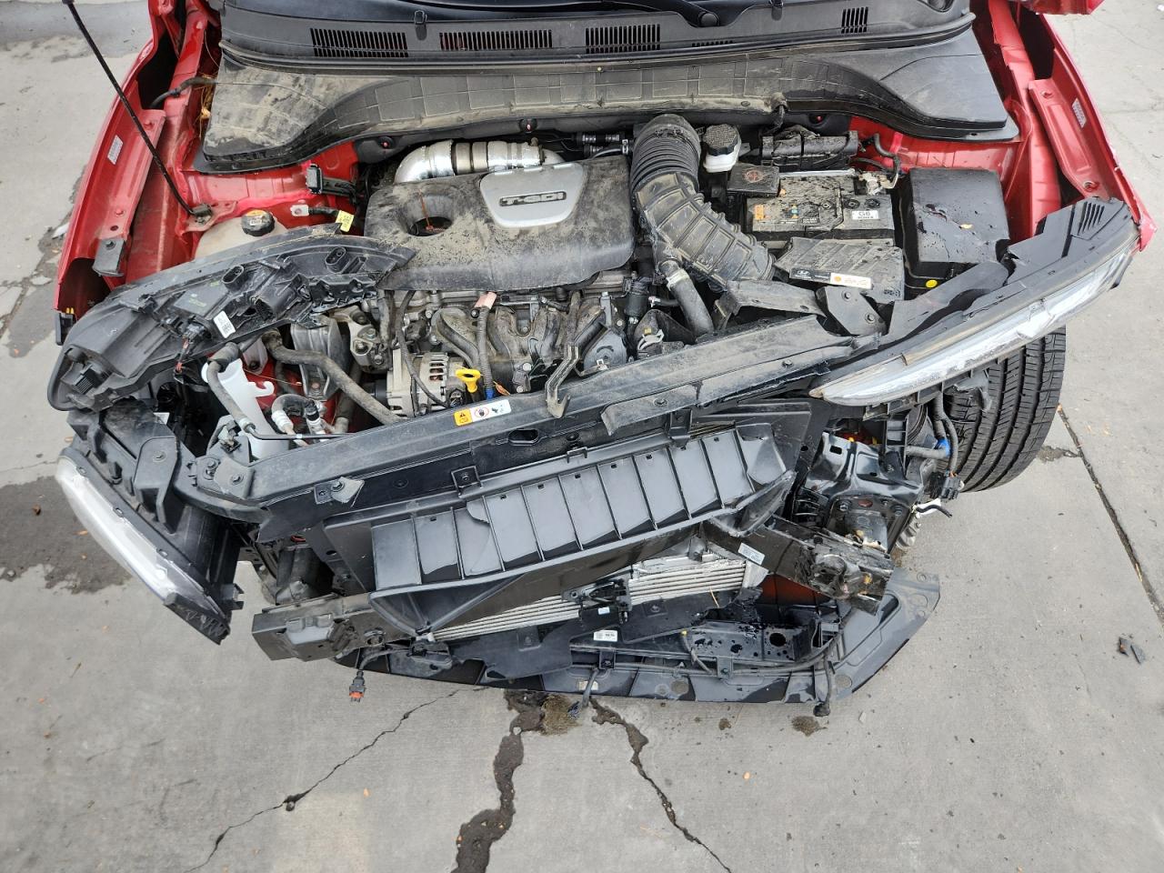 2021 Hyundai Kona Ultimate VIN: KM8K5CA53MU736236 Lot: 81140685