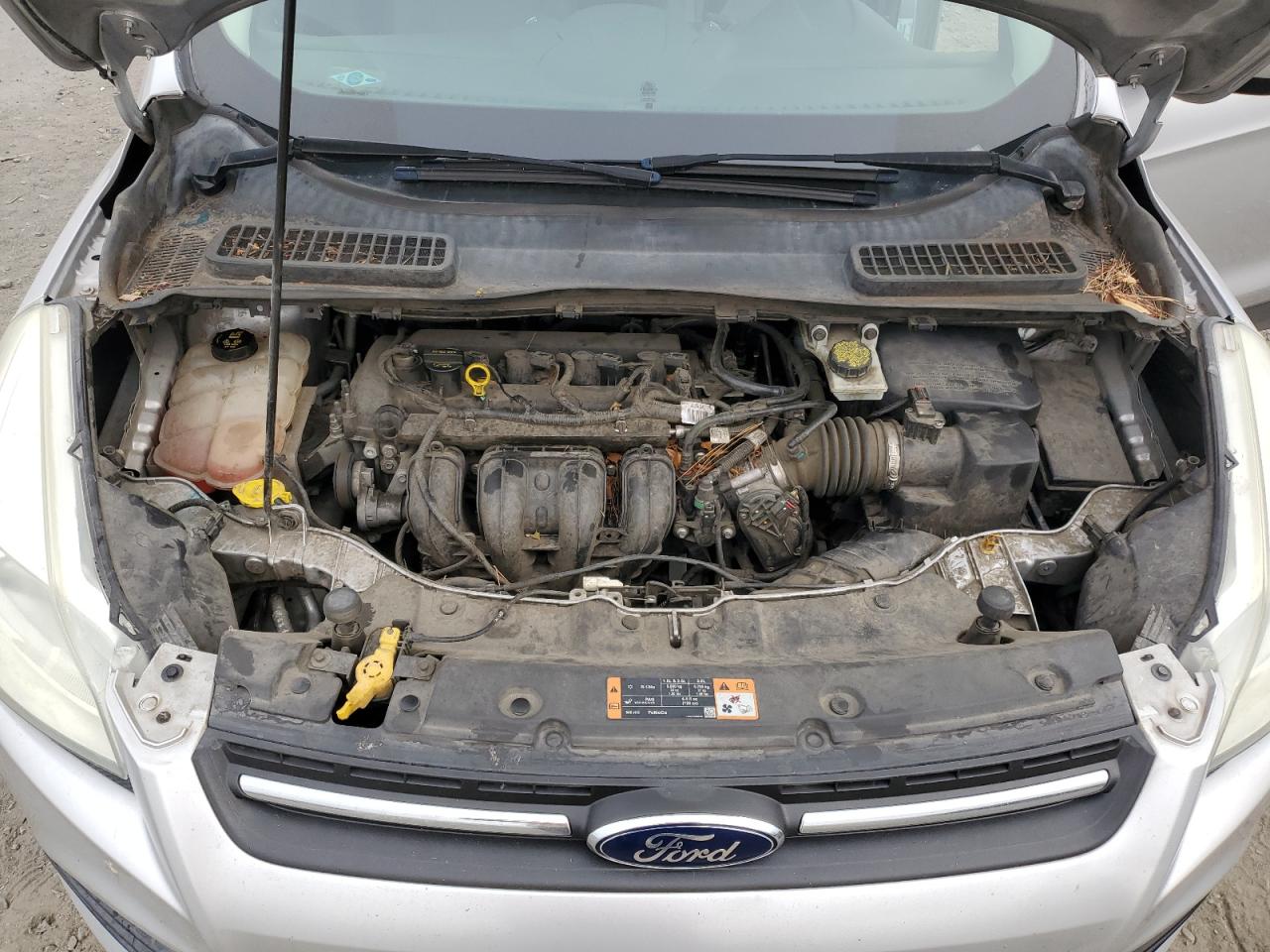 2015 Ford Escape Se VIN: 1FMCU0G77FUA18903 Lot: 81959795