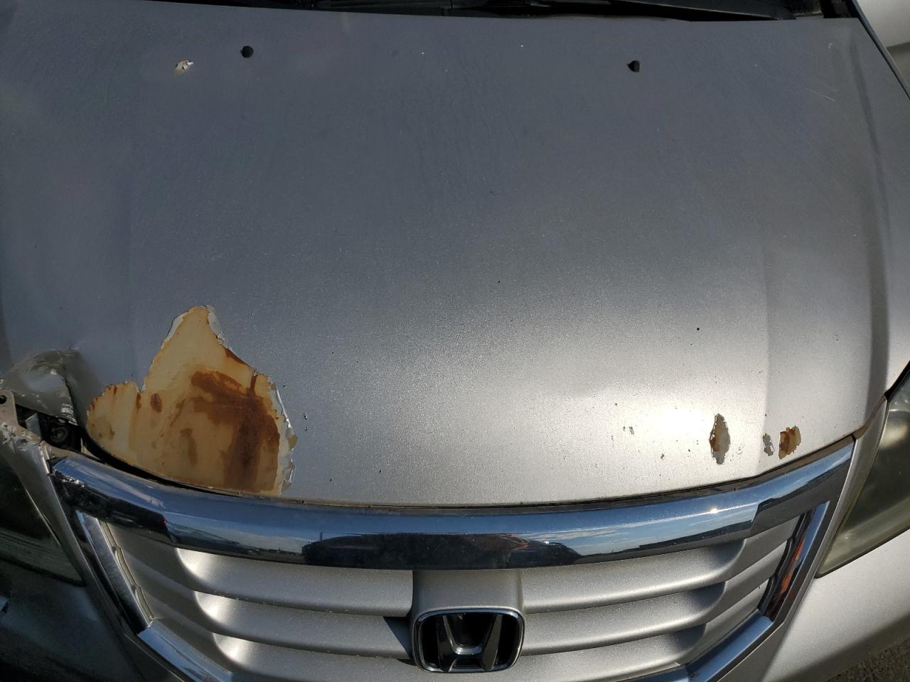 2009 Honda Odyssey Lx VIN: 5FNRL38209B013125 Lot: 81347675