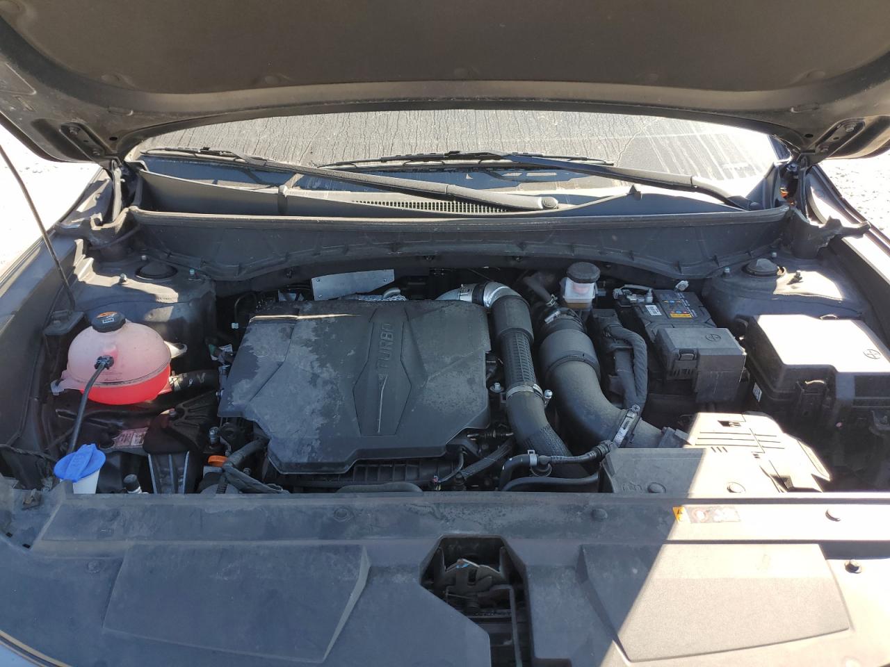 2023 Hyundai Santa Cruz Night VIN: 5NTJCDAF2PH076193 Lot: 80688265