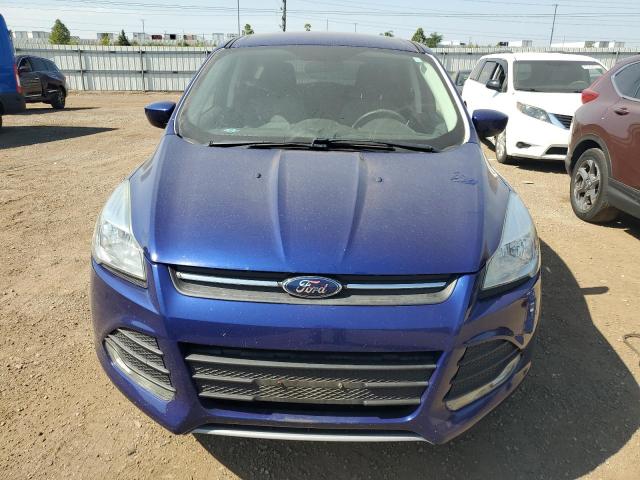  FORD ESCAPE 2016 Синий
