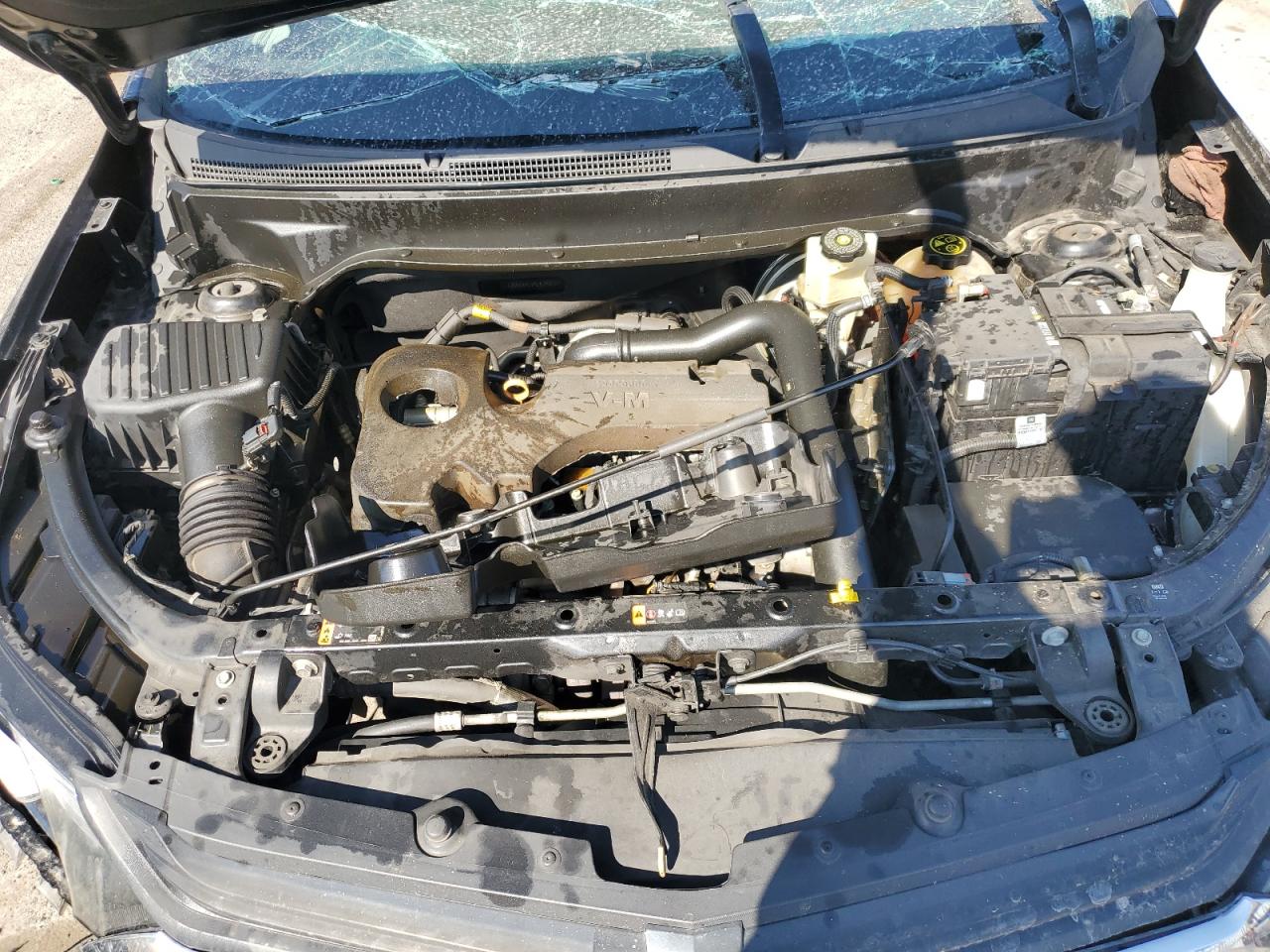 2020 Chevrolet Equinox Ls VIN: 2GNAXHEV4L6240769 Lot: 80519235