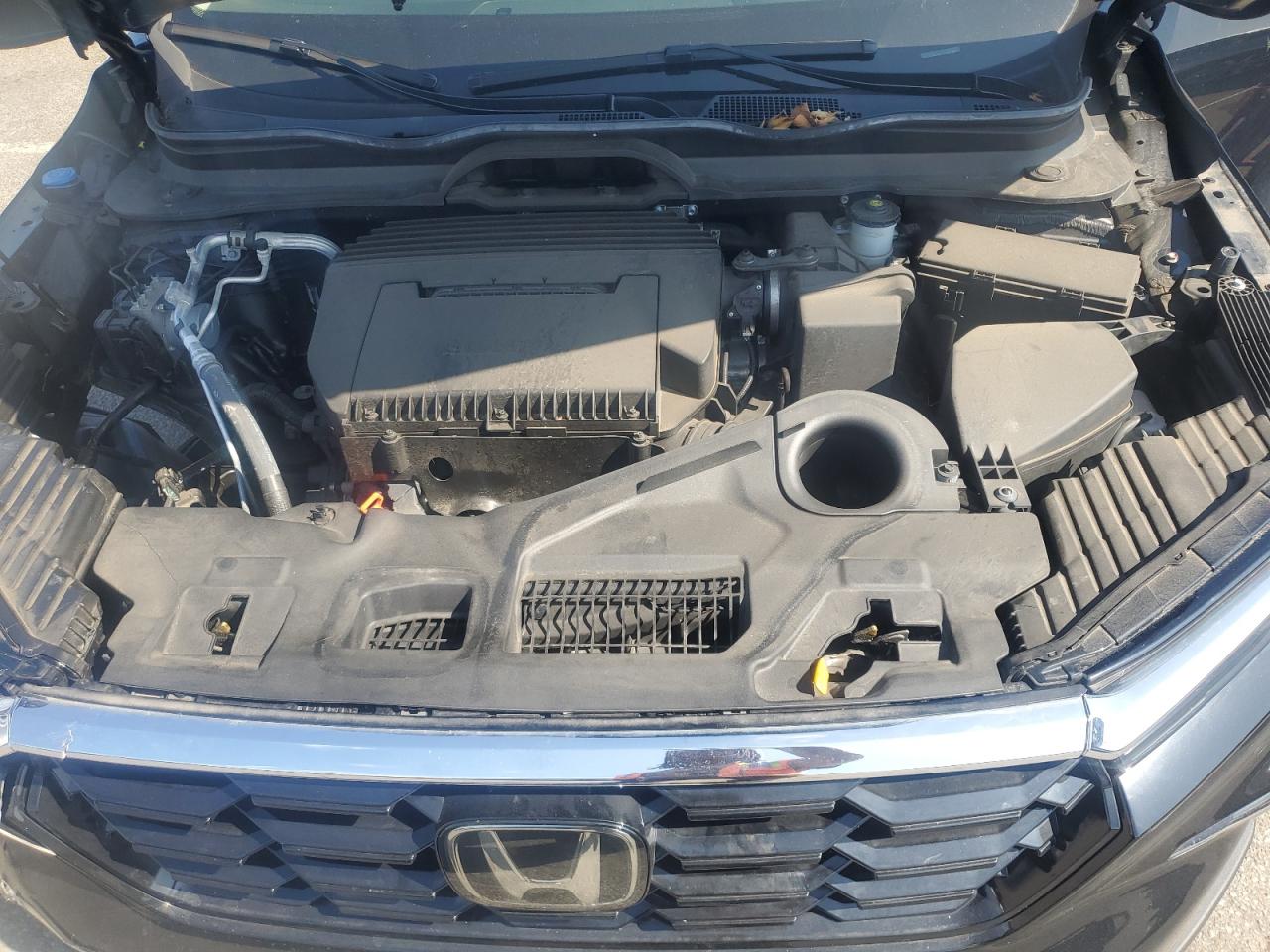 2023 Honda Pilot Touring VIN: 5FNYG1H78PB051750 Lot: 81453465