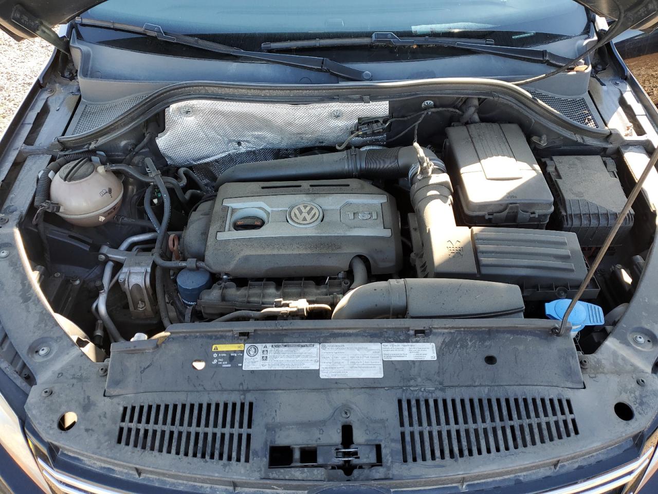 2013 Volkswagen Tiguan S VIN: WVGAV3AX3DW595170 Lot: 81466035