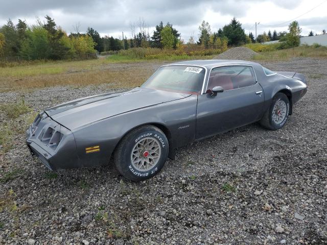 1981 Pontiac Firebird