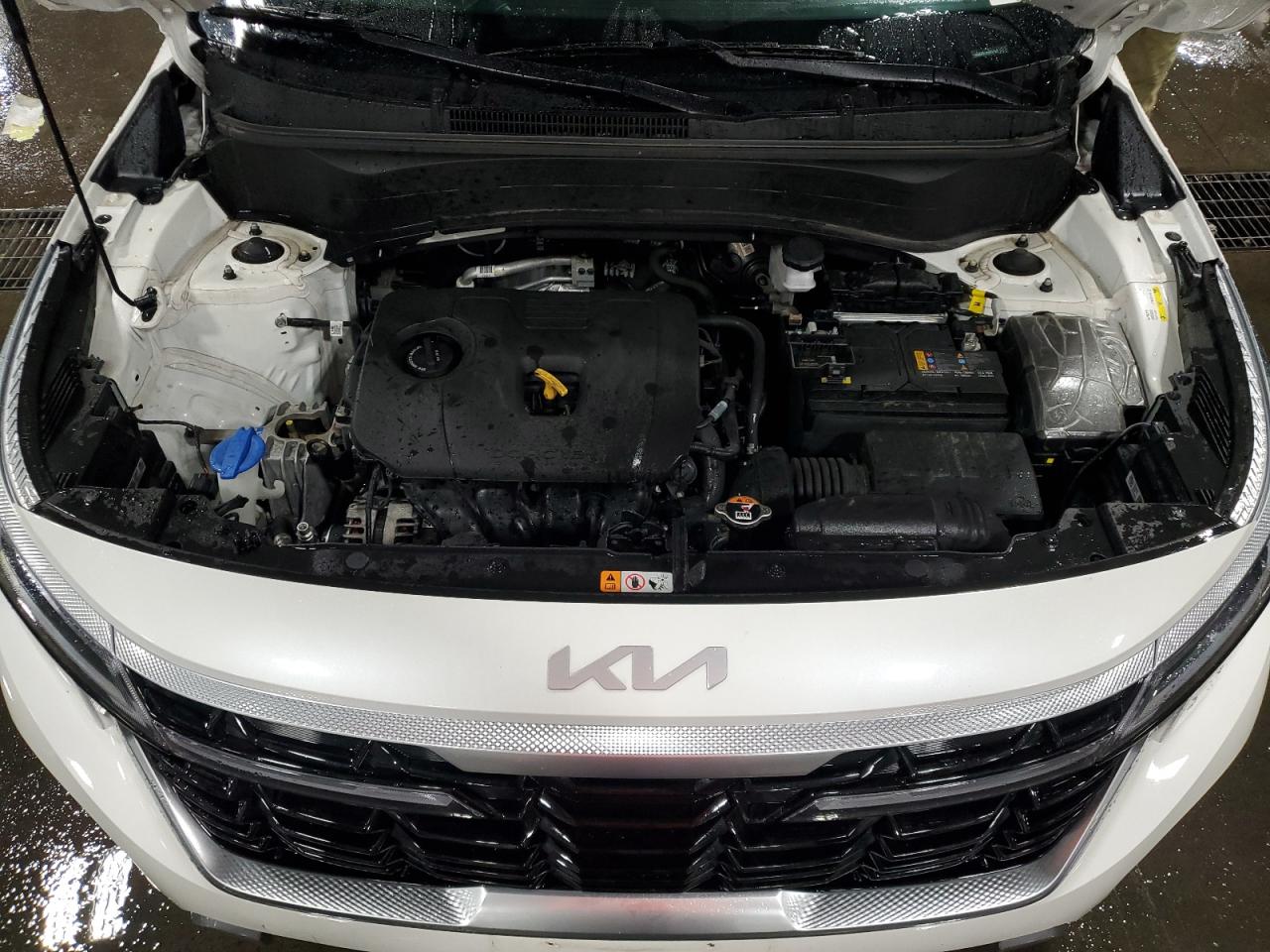 2024 Kia Seltos Ex VIN: KNDERCAA1R7571120 Lot: 81640355