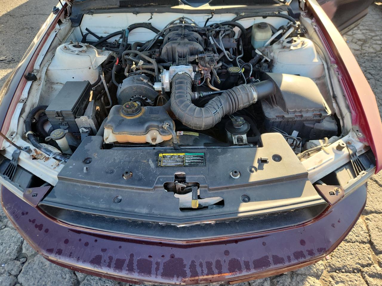 2005 Ford Mustang VIN: 1ZVFT84NX55165695 Lot: 81663855