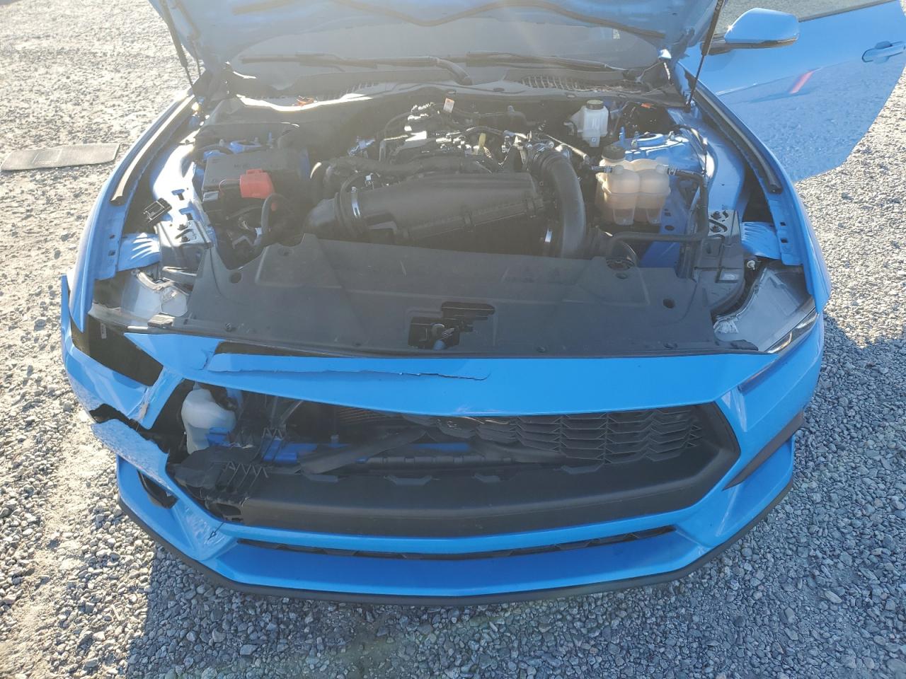 2024 Ford Mustang VIN: 1FA6P8TH1R5114360 Lot: 80071875