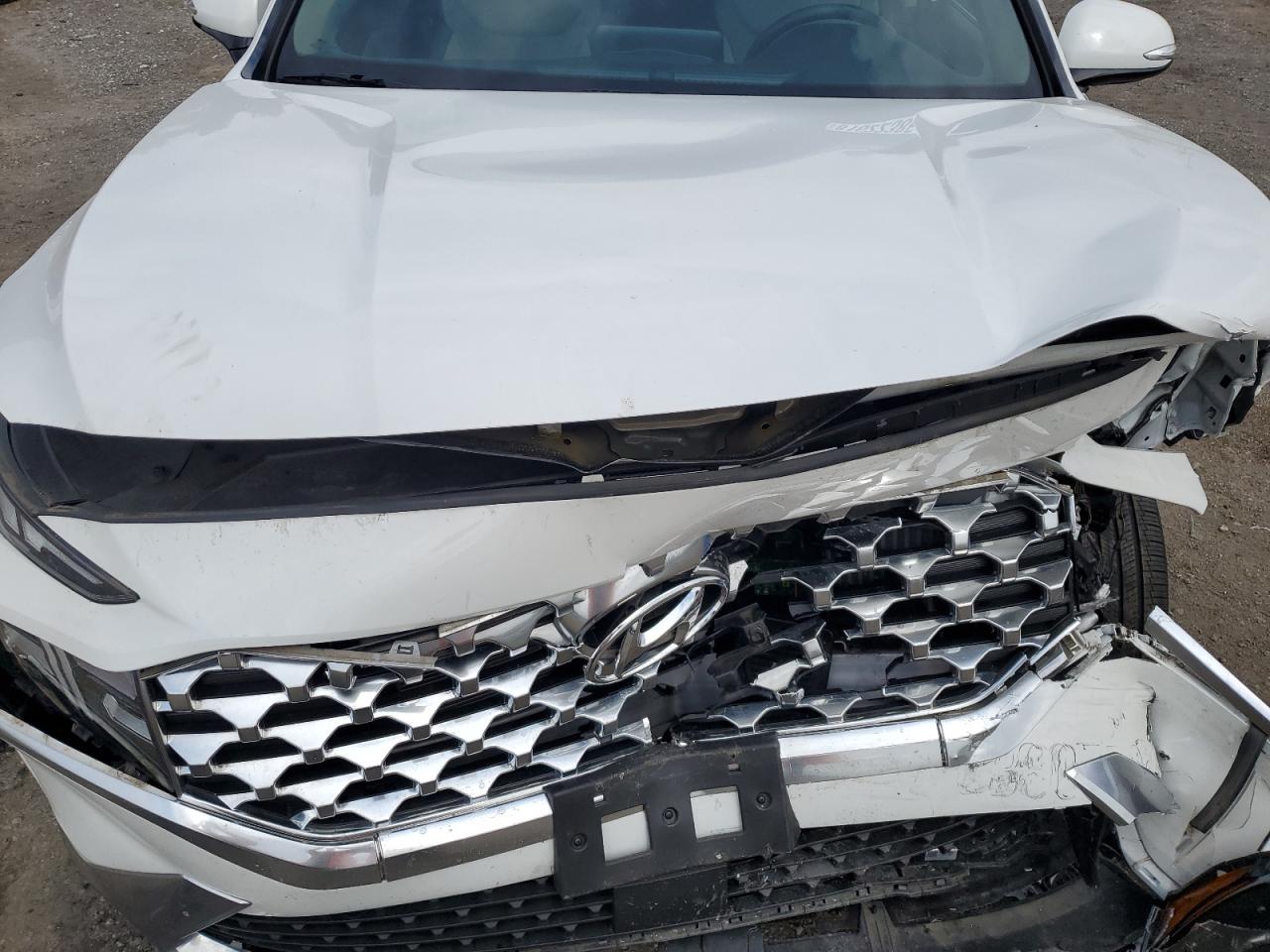 2023 Hyundai Santa Fe Blue VIN: 5NMS2DA10PH013519 Lot: 81622385