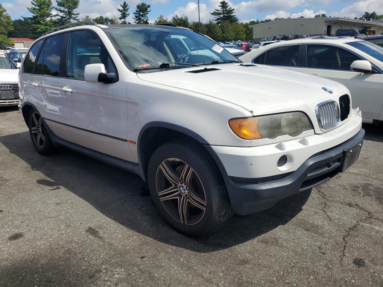 Фото: 5UXFA535X3LV99650