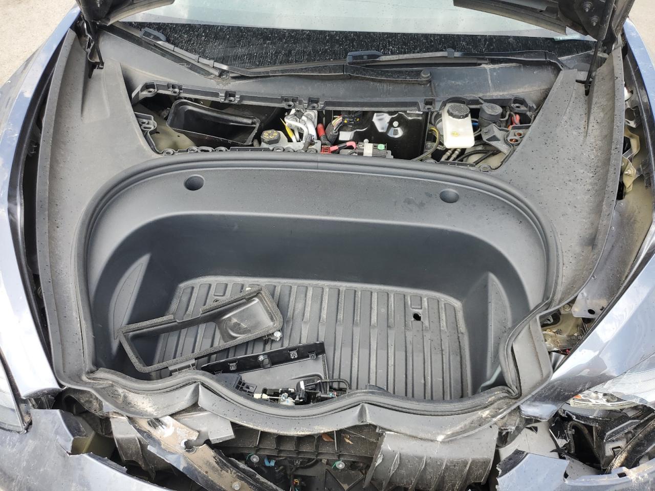 2023 Tesla Model 3 VIN: 5YJ3E1EA5PF544396 Lot: 81358345