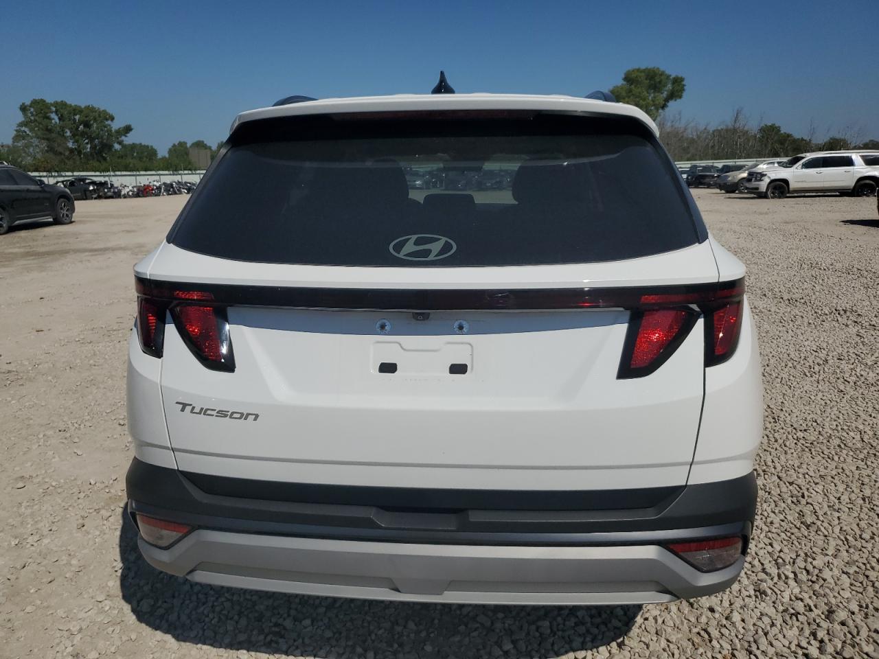 2025 Hyundai Tucson Sel VIN: 5NMJB3DE4SH445804 Lot: 81102155