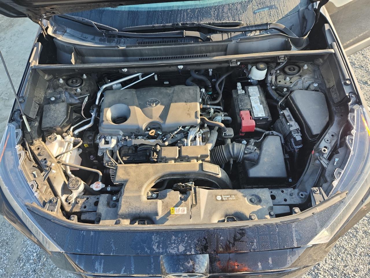 2021 Toyota Rav4 Le VIN: 2T3H1RFV7MC158068 Lot: 82027955