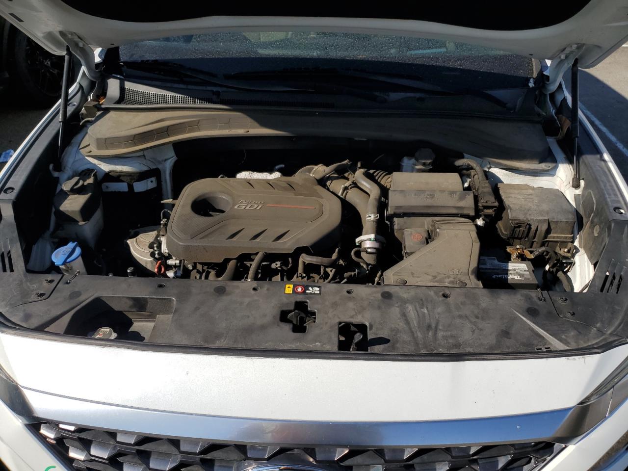 2019 Hyundai Santa Fe Limited VIN: 5NMS5CAA0KH052833 Lot: 81918455