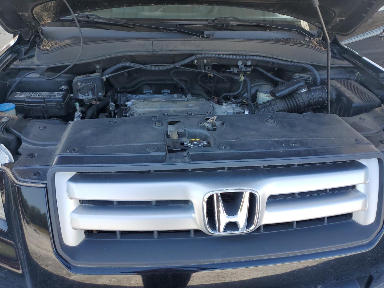 2007 Honda Pilot Exl VIN: 5FNYF28667B036194 Lot: 80344985