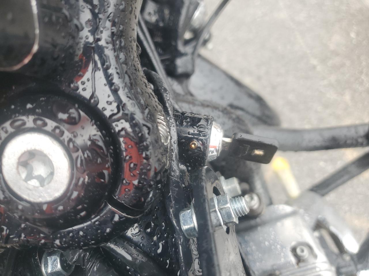 2015 Harley-Davidson Xl1200 Forty-Eight VIN: 1HD1LC312FC428742 Lot: 81720385