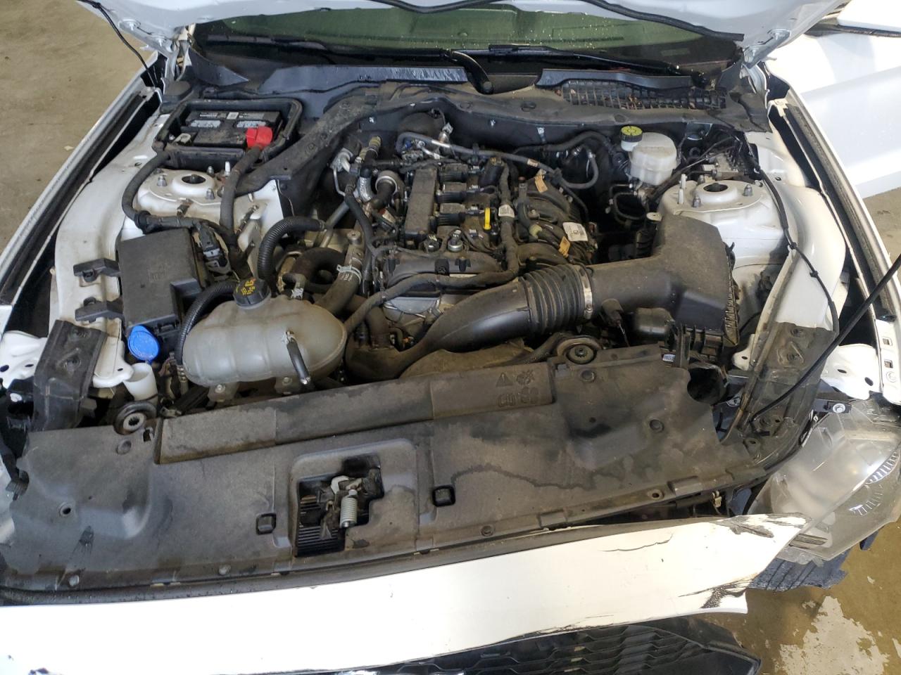 2022 Ford Mustang VIN: 1FA6P8TH0N5106132 Lot: 84222325