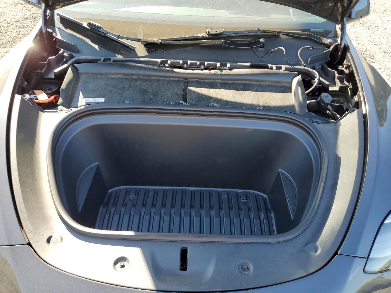 2024 Tesla Model Y VIN: 7SAYGDEE7RA282193 Lot: 80733165