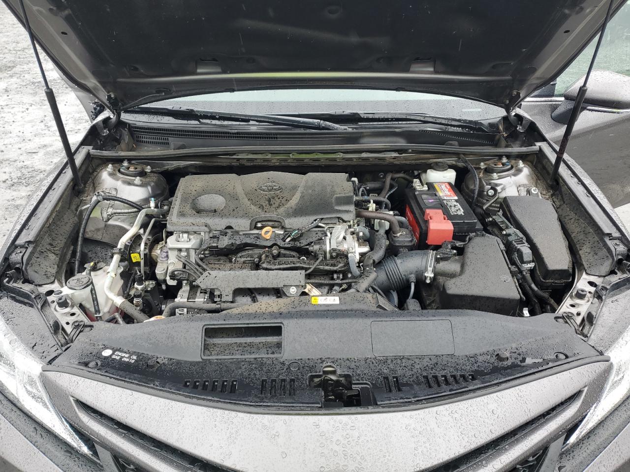 2019 Toyota Camry L VIN: 4T1B11HK2KU278505 Lot: 81870005