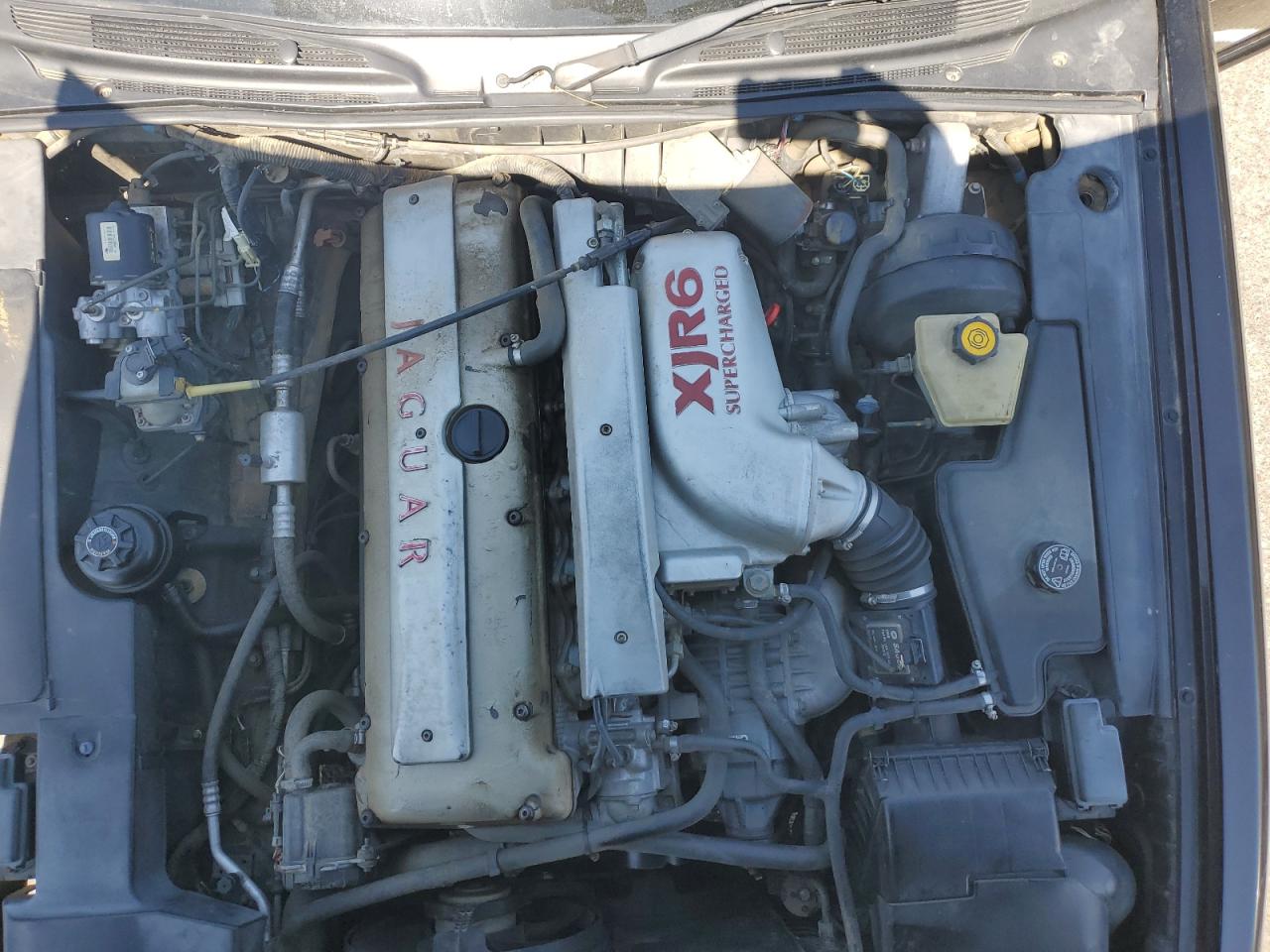 1995 Jaguar Xjr VIN: SAJPX1143SC743465 Lot: 80853425