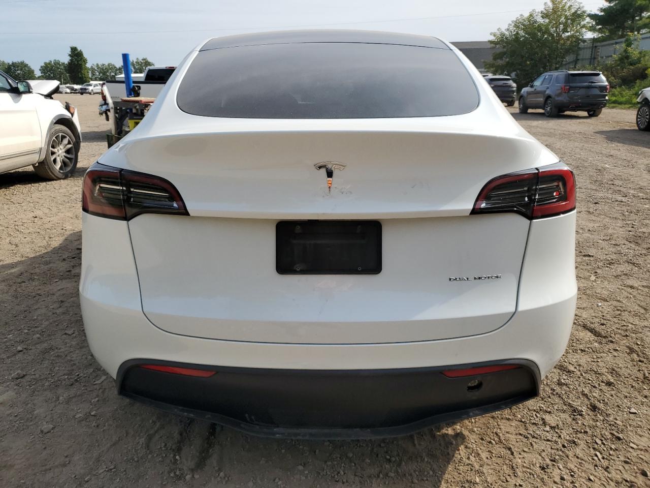 2023 Tesla Model Y VIN: 7SAYGDEE5PF793675 Lot: 80138915