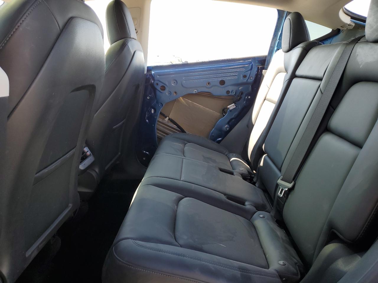 2022 Tesla Model Y VIN: 7SAYGDEE7NF369556 Lot: 81505295