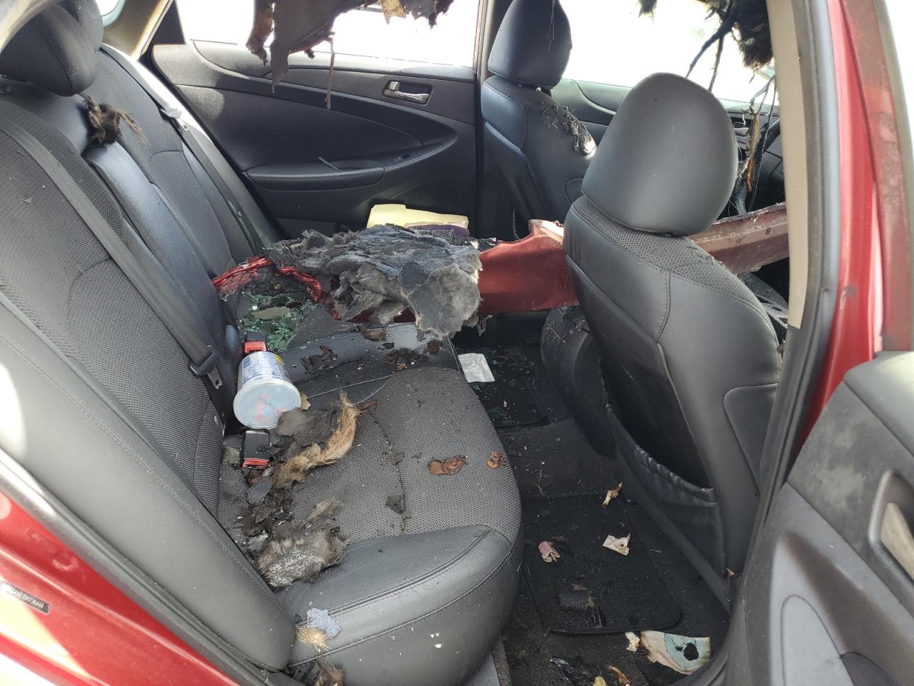 2013 Hyundai Sonata Se VIN: 5NPEC4AB3DH736444 Lot: 71905395