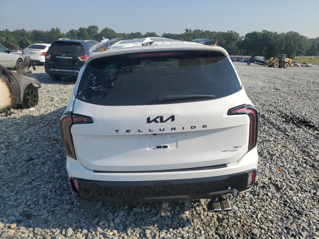 2025 Kia Telluride Sx VIN: 5XYP5DGCXSG640446 Lot: 81039835