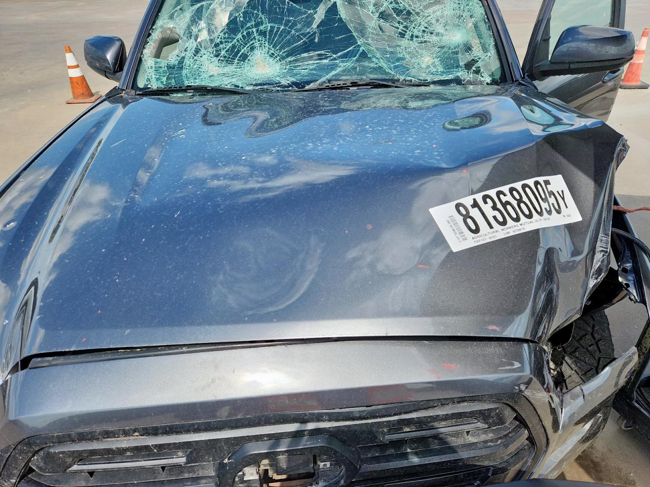 2019 Toyota Tacoma Double Cab VIN: 5TFAX5GN4KX138357 Lot: 81368095