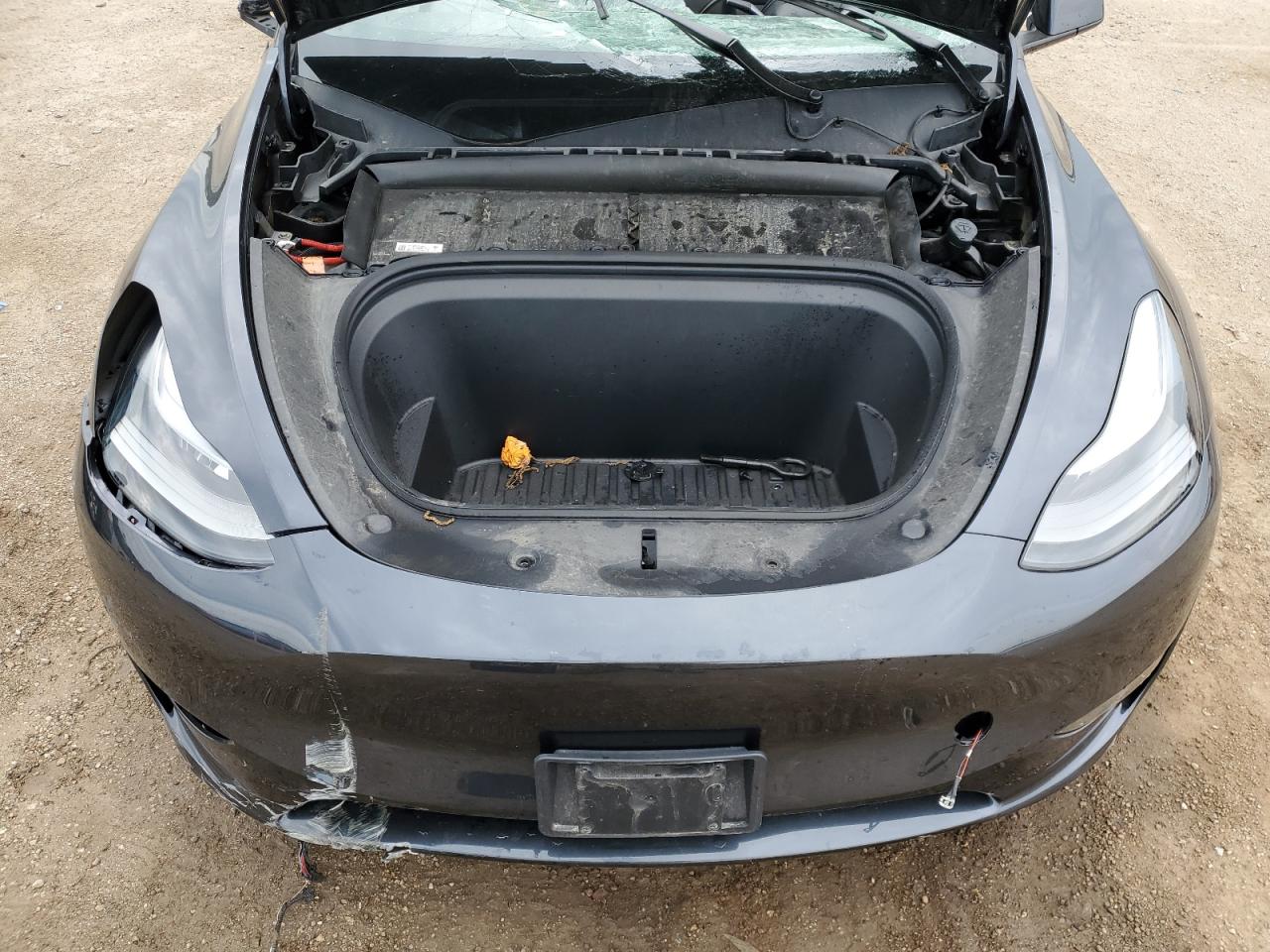 2024 Tesla Model Y VIN: 7SAYGAEE4RF074449 Lot: 71205675