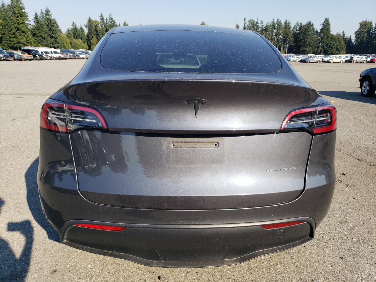 2023 Tesla Model Y VIN: 7SAYGDEE0PF805831 Lot: 80699295