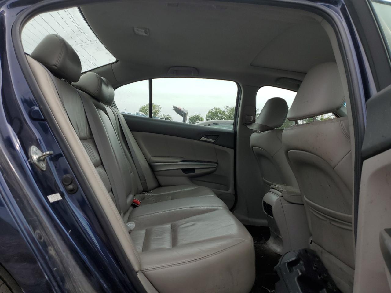 2010 Honda Accord Exl VIN: 1HGCP2F84AA028012 Lot: 81913085