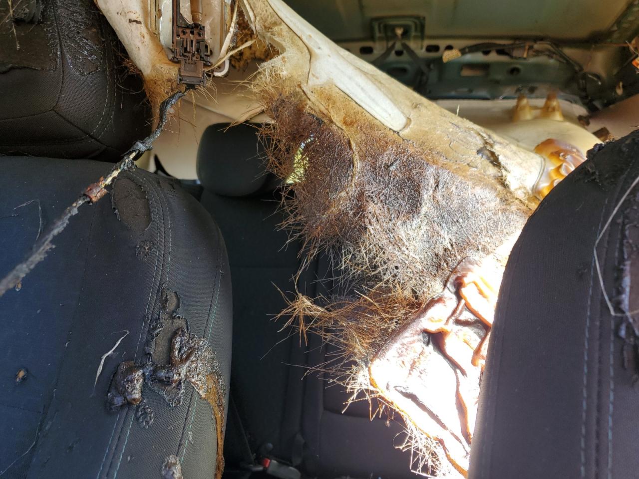 2015 Chevrolet Trax Ls VIN: KL7CJKSB0FB239286 Lot: 80163035