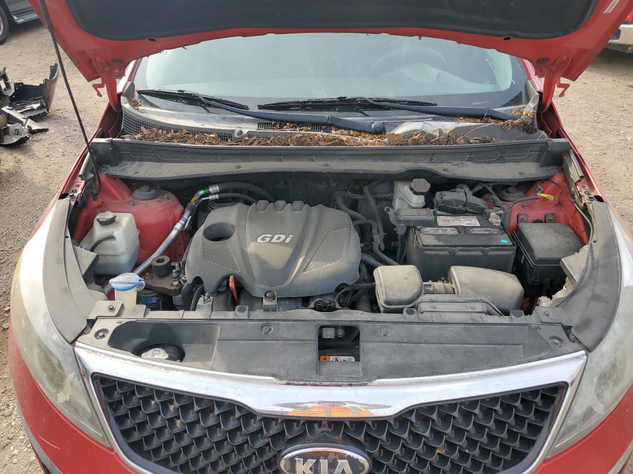 2014 Kia Sportage Base VIN: KNDPB3AC6E7642241 Lot: 82079215