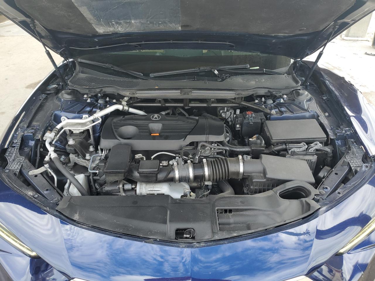2021 Acura Tlx VIN: 19UUB5F30MA004397 Lot: 81314745