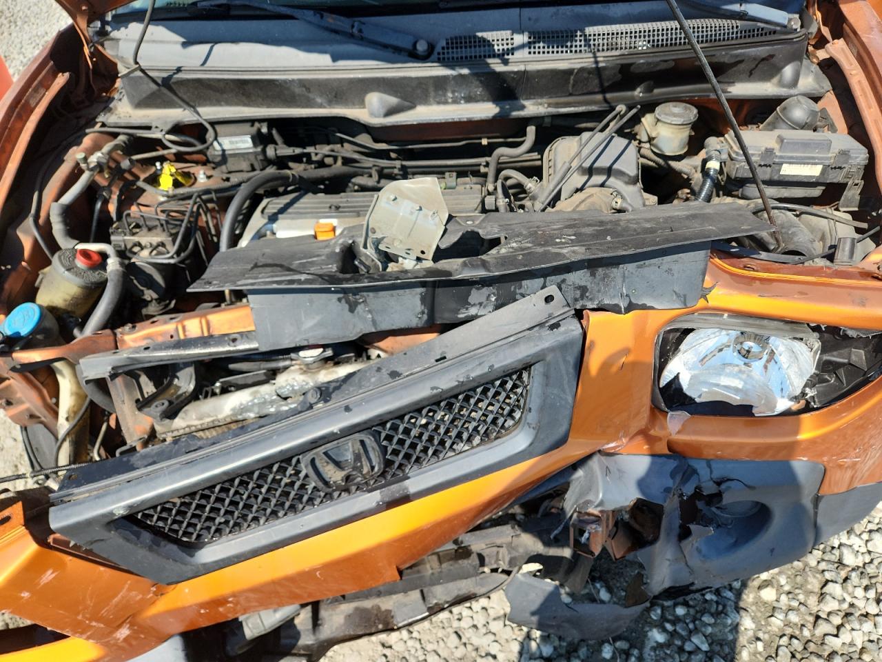 2006 Honda Element Ex VIN: 5J6YH28786L012066 Lot: 80205825